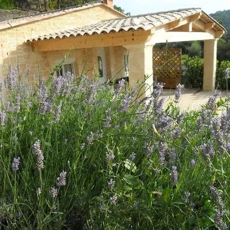 Holiday home Mas Provencal
